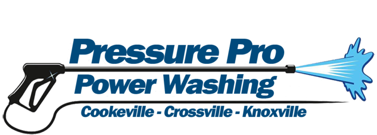 pressure washing gun logo